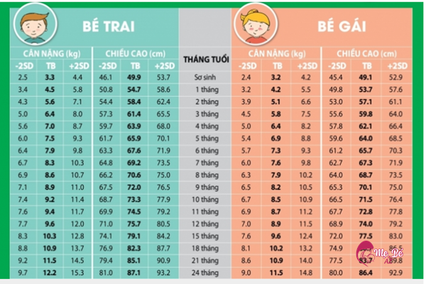 Trẻ 2 tuổi cần bổ sung gì để phát triển thể lực trí não?