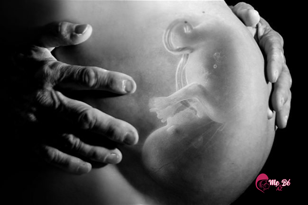 Chụp X quang trước khi mang thai ít nhất 4 tuần sẽ không ảnh hưởng tới thai nhi