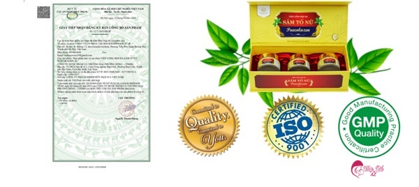 Nguồn gốc xuất xứ Sâm Tố Nữ Puecolazen